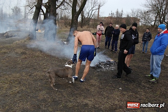 Zdjęcie w galerii na portalu naszraciborz.pl: Kąpiel w zimnej wodzie to ich sposób na wzmocnienie odporności organizmu wiadomości z regionu