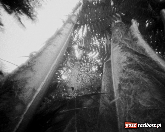 Zdjęcie w galerii na portalu naszraciborz.pl: Tajemnice fotografii otworkowej w galerii Gawra wiadomości z regionu