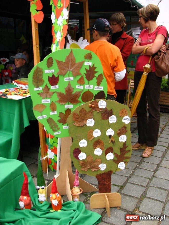 Zdjęcie w galerii na portalu naszraciborz.pl: Ekologicznie na raciborskim Rynku wiadomości z regionu