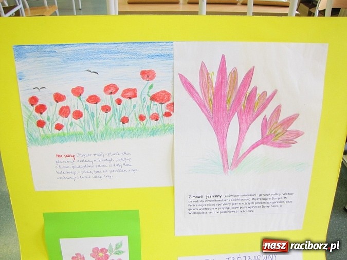 Zdjęcie w galerii na portalu naszraciborz.pl: W Gimnazjum nr 5 z ekologią są za pan brat wiadomości z regionu