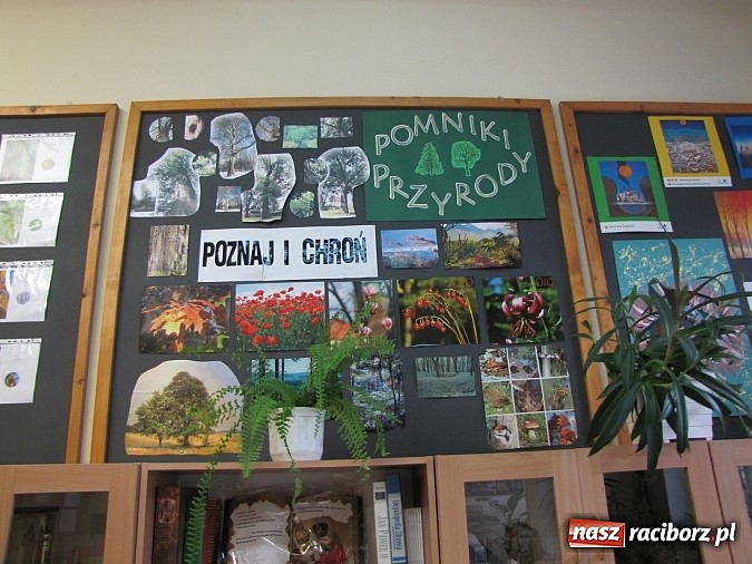 Zdjęcie w galerii na portalu naszraciborz.pl: W Gimnazjum nr 5 z ekologią są za pan brat wiadomości z regionu