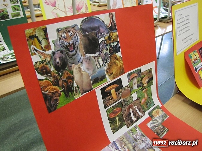 Zdjęcie w galerii na portalu naszraciborz.pl: W Gimnazjum nr 5 z ekologią są za pan brat wiadomości z regionu