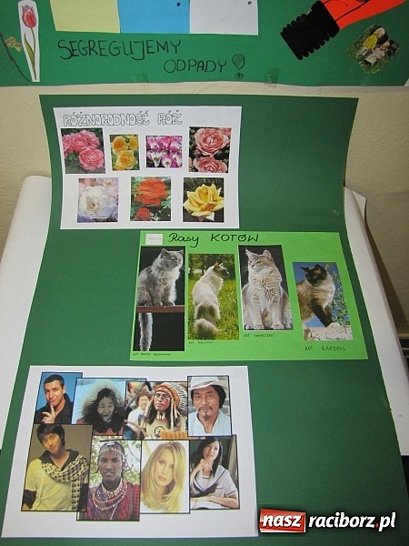 Zdjęcie w galerii na portalu naszraciborz.pl: W Gimnazjum nr 5 z ekologią są za pan brat wiadomości z regionu