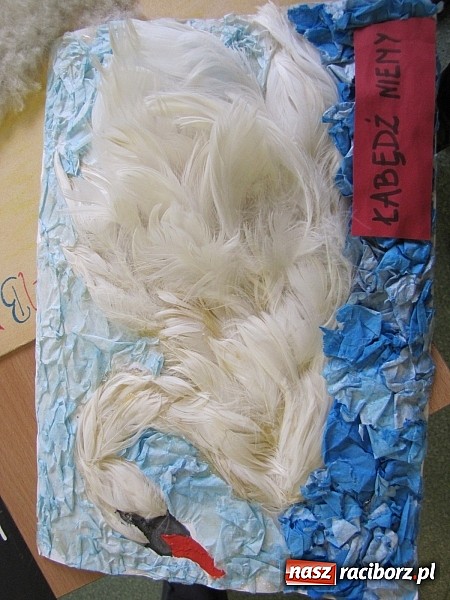 Zdjęcie w galerii na portalu naszraciborz.pl: W Gimnazjum nr 5 z ekologią są za pan brat wiadomości z regionu