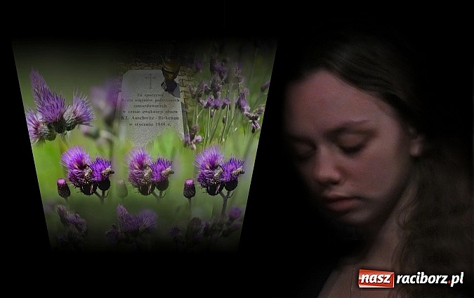 Zdjęcie w galerii na portalu naszraciborz.pl: Z Bolesławem Stachowem krótka rozmowa o czasie przeszłym powracającym wiadomości z regionu