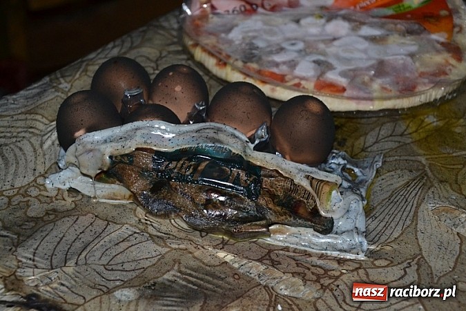 Zdjęcie w galerii na portalu naszraciborz.pl: Coś eksplodowało w piecu! Pożar budynku w Jankowicach wiadomości z regionu