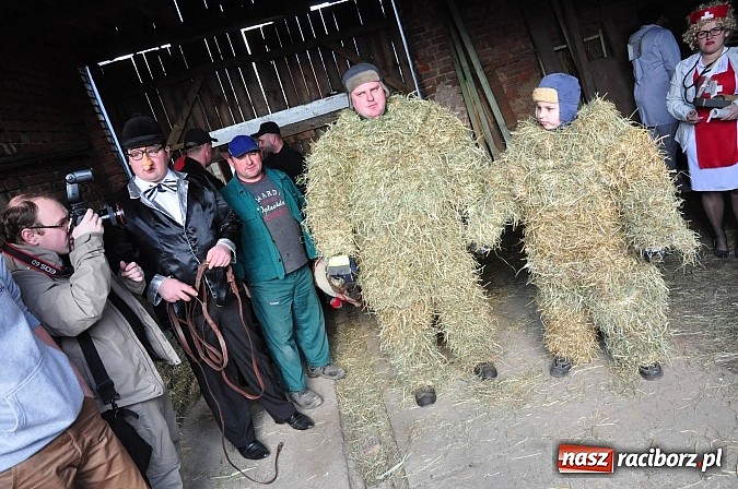 Zdjęcie w galerii na portalu naszraciborz.pl: TANZBÄR, czyli samborowickie ostatki 2014 wiadomości z regionu