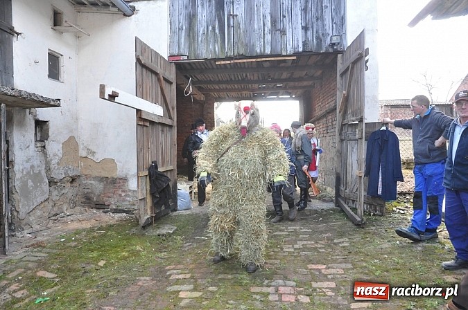 Zdjęcie w galerii na portalu naszraciborz.pl: TANZBÄR, czyli samborowickie ostatki 2014 wiadomości z regionu
