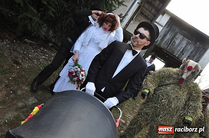 Zdjęcie w galerii na portalu naszraciborz.pl: TANZBÄR, czyli samborowickie ostatki 2014 wiadomości z regionu