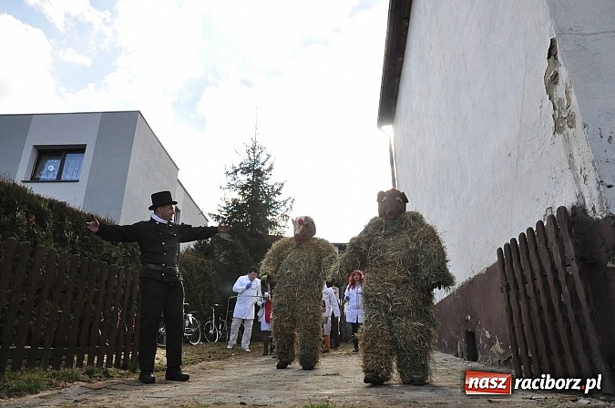 Zdjęcie w galerii na portalu naszraciborz.pl: TANZBÄR, czyli samborowickie ostatki 2014 wiadomości z regionu