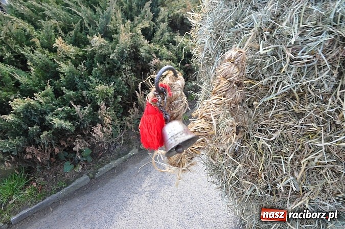 Zdjęcie w galerii na portalu naszraciborz.pl: TANZBÄR, czyli samborowickie ostatki 2014 wiadomości z regionu