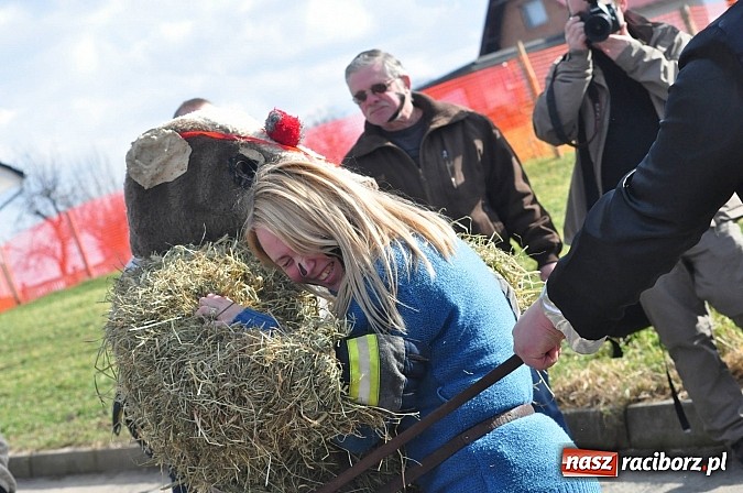 Zdjęcie w galerii na portalu naszraciborz.pl: TANZBÄR, czyli samborowickie ostatki 2014 wiadomości z regionu