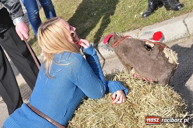 Zdjęcie w galerii na portalu naszraciborz.pl: TANZBÄR, czyli samborowickie ostatki 2014 wiadomości z regionu