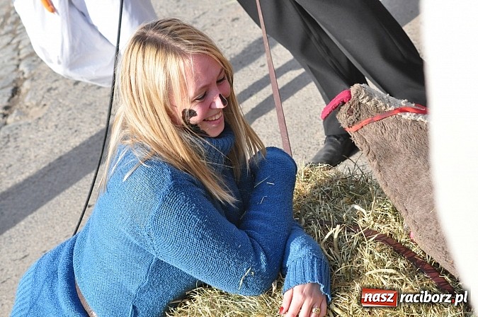 Zdjęcie w galerii na portalu naszraciborz.pl: TANZBÄR, czyli samborowickie ostatki 2014 wiadomości z regionu