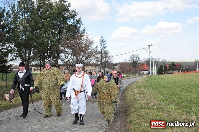Zdjęcie w galerii na portalu naszraciborz.pl: TANZBÄR, czyli samborowickie ostatki 2014 wiadomości z regionu