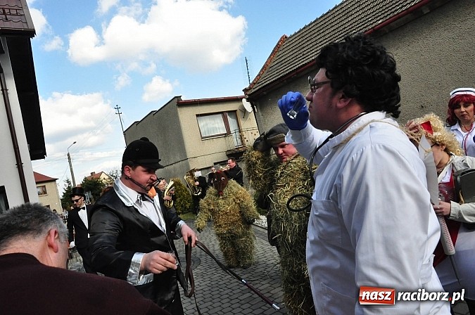 Zdjęcie w galerii na portalu naszraciborz.pl: TANZBÄR, czyli samborowickie ostatki 2014 wiadomości z regionu