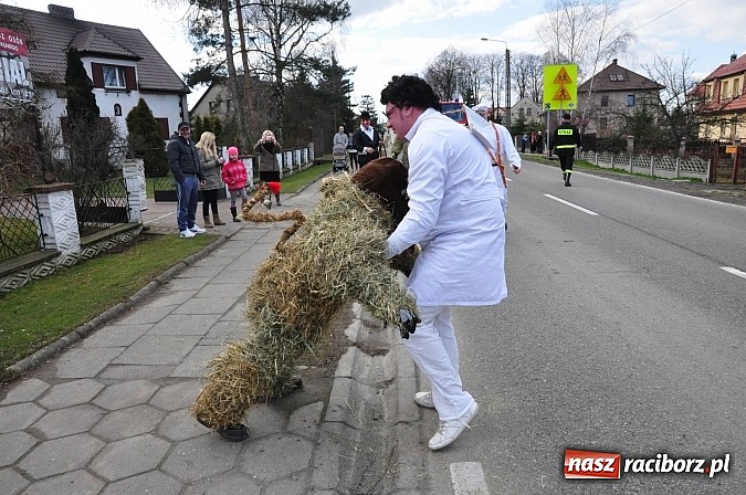 Zdjęcie w galerii na portalu naszraciborz.pl: TANZBÄR, czyli samborowickie ostatki 2014 wiadomości z regionu