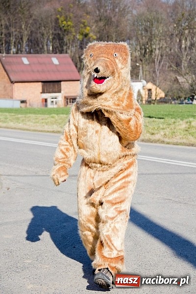 Zdjęcie w galerii na portalu naszraciborz.pl: W Sławikowie wodzili niedźwiedzia wiadomości z regionu