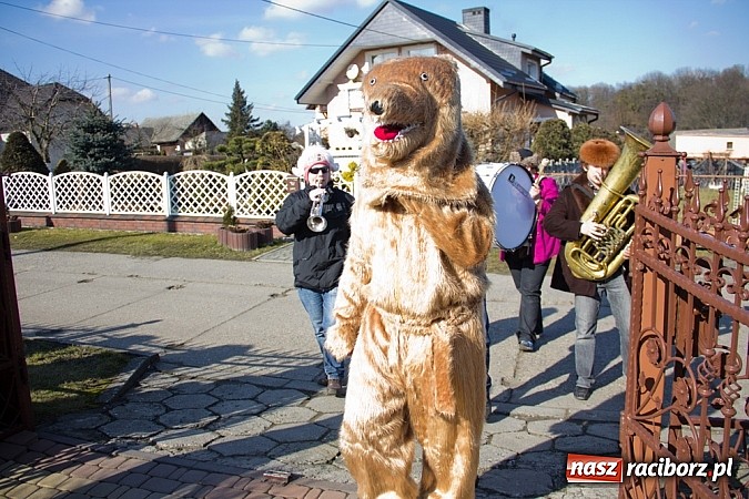 Zdjęcie w galerii na portalu naszraciborz.pl: W Sławikowie wodzili niedźwiedzia wiadomości z regionu