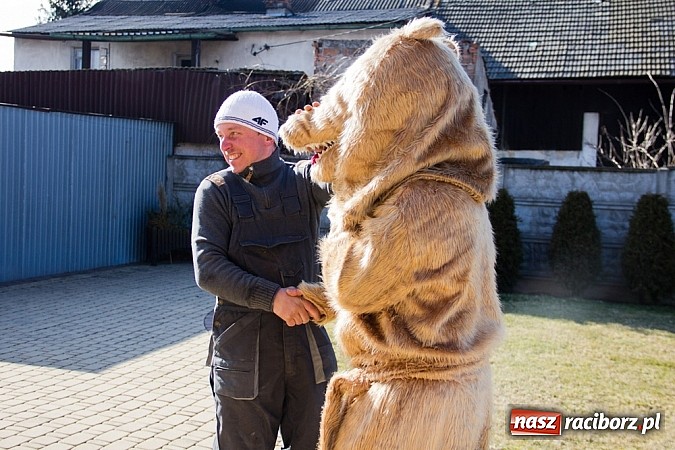 Zdjęcie w galerii na portalu naszraciborz.pl: W Sławikowie wodzili niedźwiedzia wiadomości z regionu