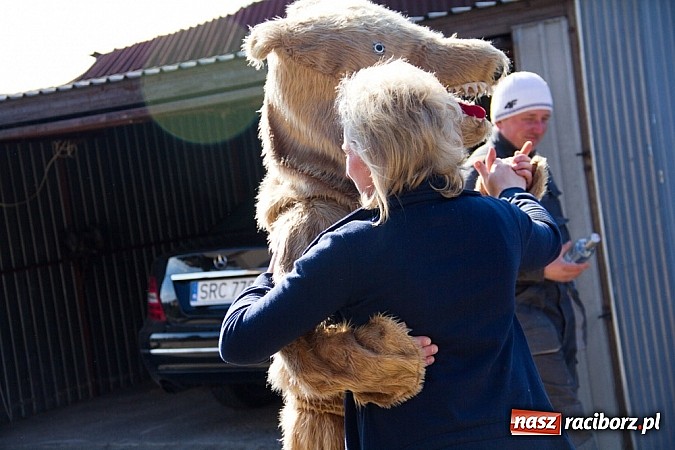 Zdjęcie w galerii na portalu naszraciborz.pl: W Sławikowie wodzili niedźwiedzia wiadomości z regionu
