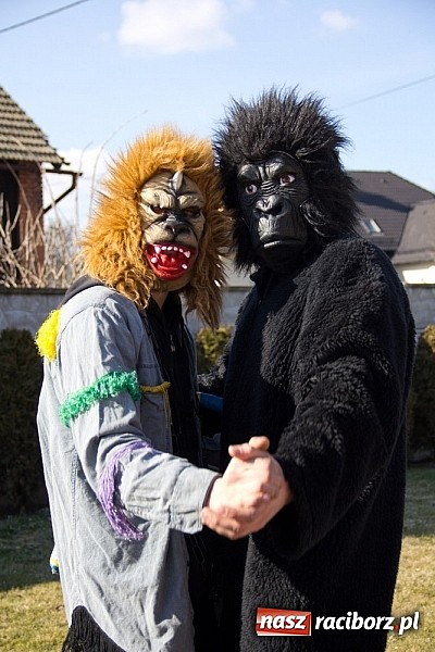 Zdjęcie w galerii na portalu naszraciborz.pl: W Sławikowie wodzili niedźwiedzia wiadomości z regionu