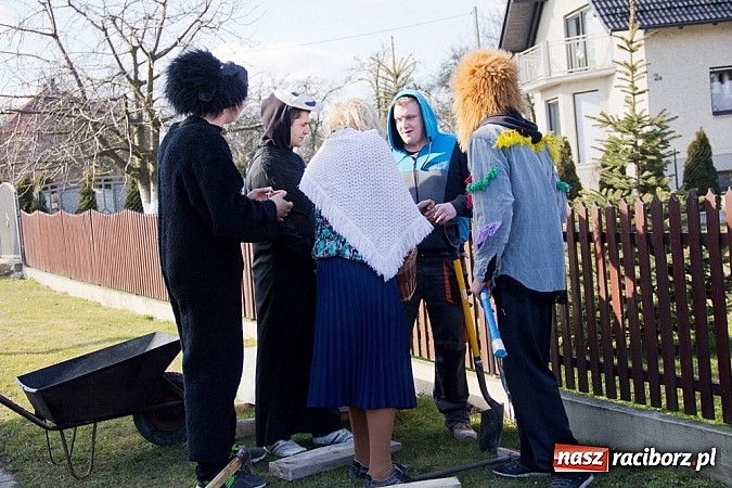 Zdjęcie w galerii na portalu naszraciborz.pl: W Sławikowie wodzili niedźwiedzia wiadomości z regionu