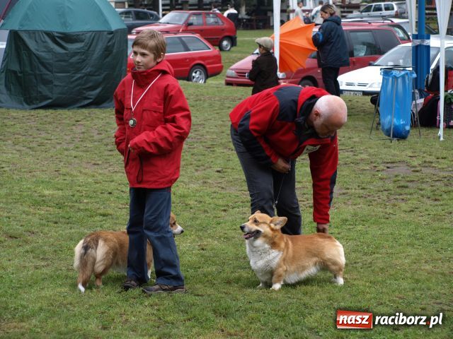 Zdjęcie w galerii na portalu naszraciborz.pl: Psie piękności w Szymocicach wiadomości z regionu