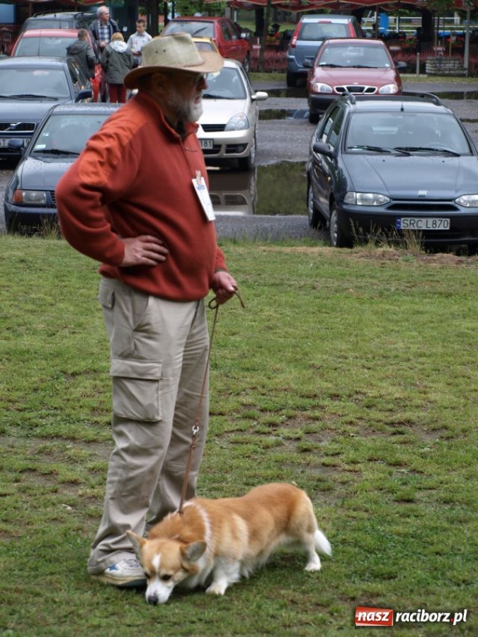 Zdjęcie w galerii na portalu naszraciborz.pl: Psie piękności w Szymocicach wiadomości z regionu