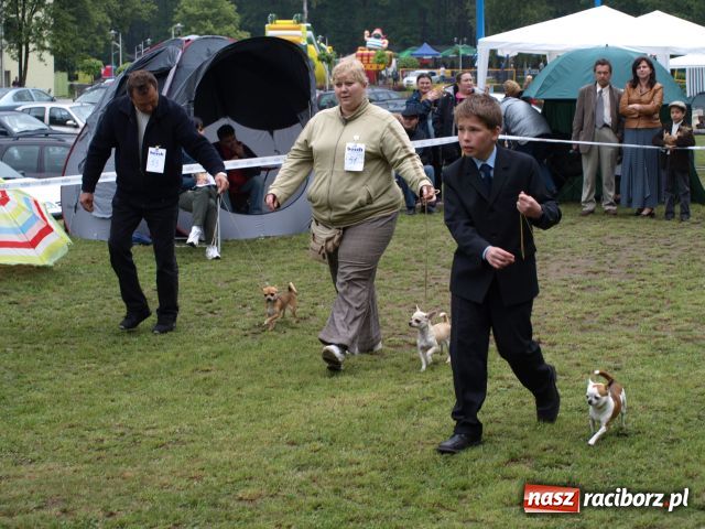 Zdjęcie w galerii na portalu naszraciborz.pl: Psie piękności w Szymocicach wiadomości z regionu