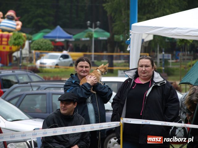 Zdjęcie w galerii na portalu naszraciborz.pl: Psie piękności w Szymocicach wiadomości z regionu