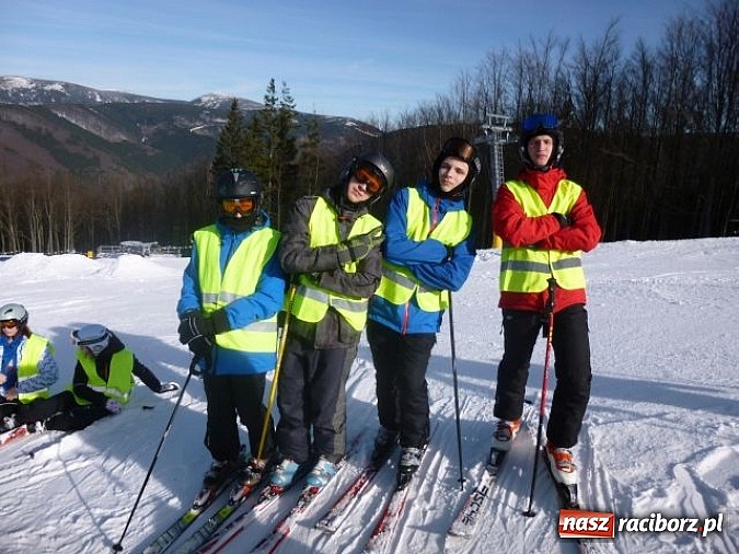 Zdjęcie w galerii na portalu naszraciborz.pl: Narciarskie turnusy polsko-czeskiej młodzieży wiadomości z regionu