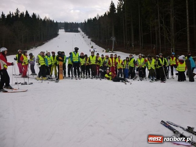Zdjęcie w galerii na portalu naszraciborz.pl: Narciarskie turnusy polsko-czeskiej młodzieży wiadomości z regionu