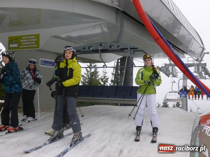 Zdjęcie w galerii na portalu naszraciborz.pl: Narciarskie turnusy polsko-czeskiej młodzieży wiadomości z regionu