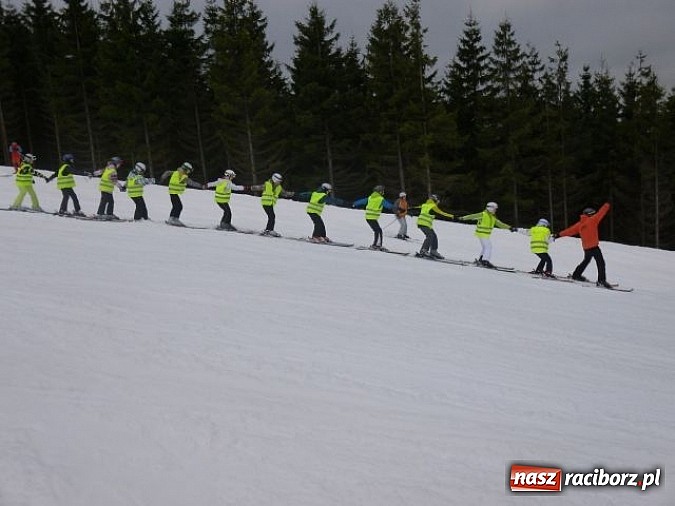 Zdjęcie w galerii na portalu naszraciborz.pl: Narciarskie turnusy polsko-czeskiej młodzieży wiadomości z regionu