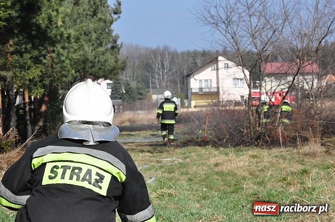 Zdjęcie w galerii na portalu naszraciborz.pl: Pożar suchej trawy i młodnika w Nędzy wiadomości z regionu