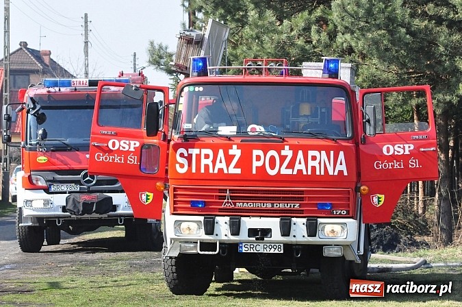 Zdjęcie w galerii na portalu naszraciborz.pl: Pożar suchej trawy i młodnika w Nędzy wiadomości z regionu