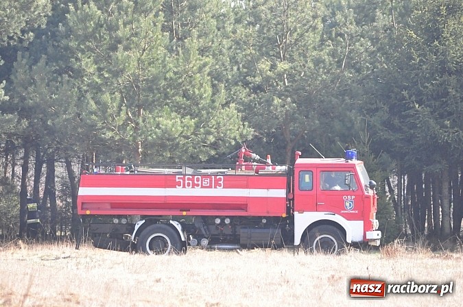 Zdjęcie w galerii na portalu naszraciborz.pl: Pożar suchej trawy i młodnika w Nędzy wiadomości z regionu