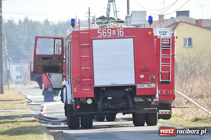 Zdjęcie w galerii na portalu naszraciborz.pl: Pożar suchej trawy i młodnika w Nędzy wiadomości z regionu