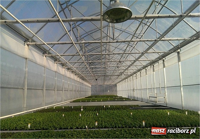 Zdjęcie w galerii na portalu naszraciborz.pl: Nagroda dla ekologicznej cieplarni w Makowie wiadomości z regionu