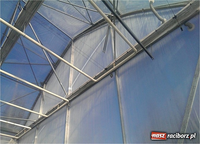 Zdjęcie w galerii na portalu naszraciborz.pl: Nagroda dla ekologicznej cieplarni w Makowie wiadomości z regionu