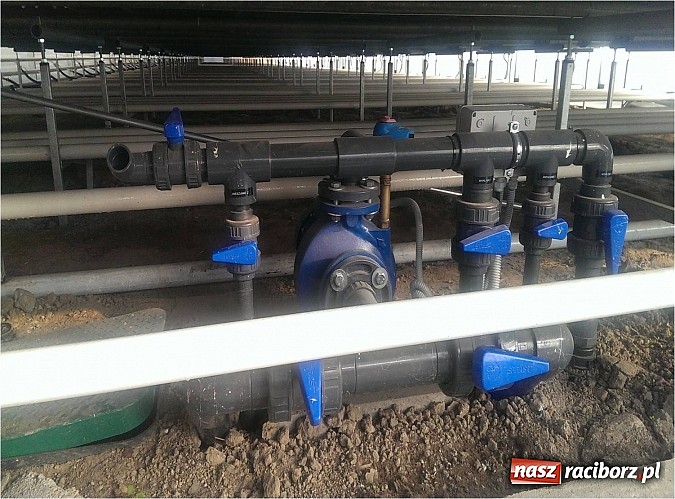 Zdjęcie w galerii na portalu naszraciborz.pl: Nagroda dla ekologicznej cieplarni w Makowie wiadomości z regionu