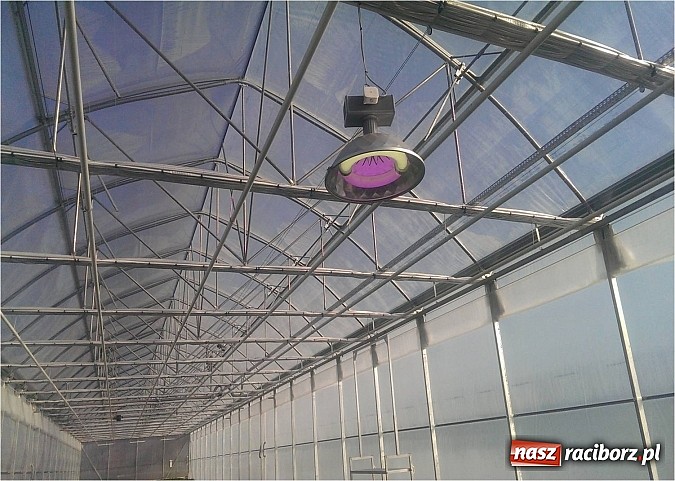 Zdjęcie w galerii na portalu naszraciborz.pl: Nagroda dla ekologicznej cieplarni w Makowie wiadomości z regionu