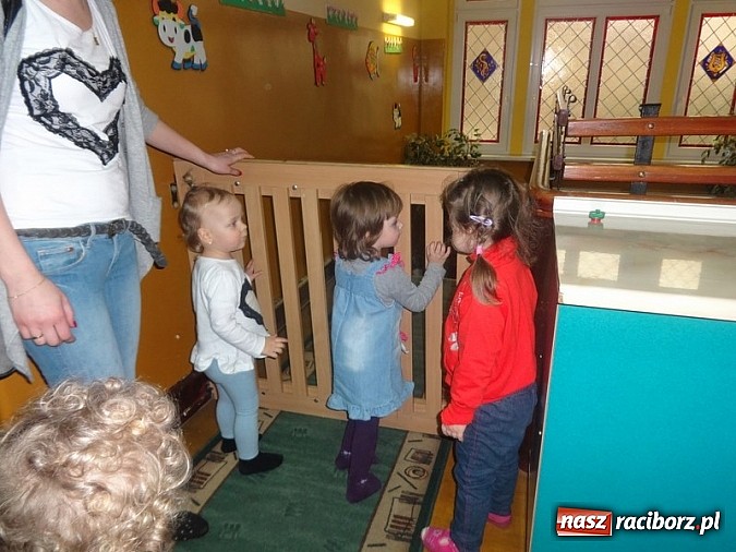 Zdjęcie w galerii na portalu naszraciborz.pl: Maluchy z Fiku-miku testują przedszkola wiadomości z regionu