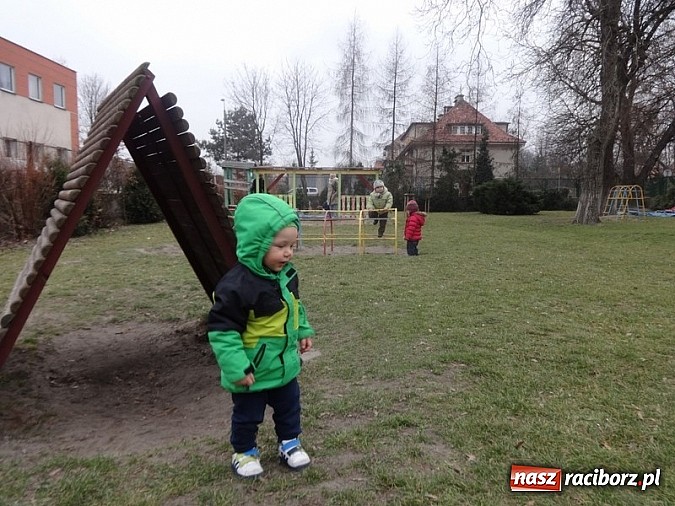 Zdjęcie w galerii na portalu naszraciborz.pl: Maluchy z Fiku-miku testują przedszkola wiadomości z regionu