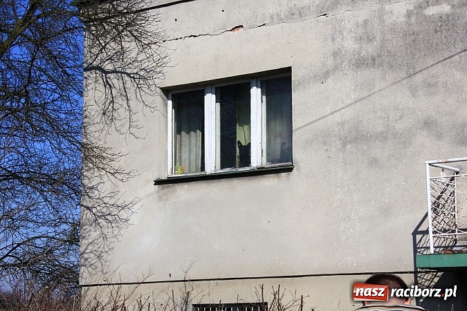 Zdjęcie w galerii na portalu naszraciborz.pl: Rudy: Chcieli odebrać psy ich właścicielce. Do interwencji jednak nie doszło... wiadomości z regionu