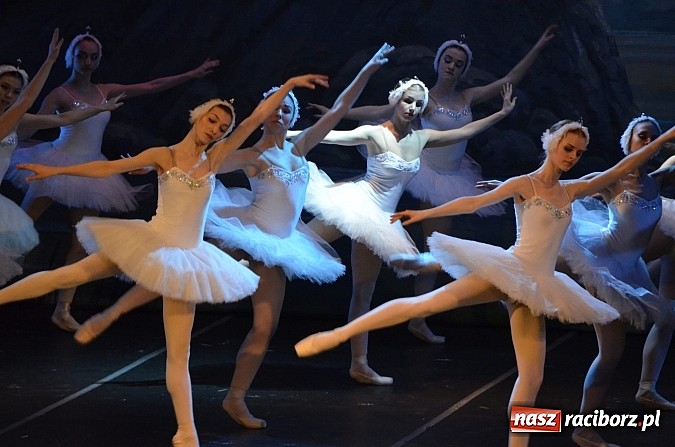 Zdjęcie w galerii na portalu naszraciborz.pl: RCK zaprosiło na Jezioro Łabędzie w wykonaniu Royal Russian Ballet! wiadomości z regionu