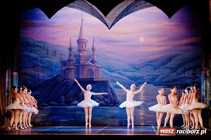 Zdjęcie w galerii na portalu naszraciborz.pl: RCK zaprosiło na Jezioro Łabędzie w wykonaniu Royal Russian Ballet! wiadomości z regionu