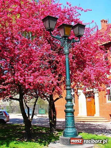 Zdjęcie w galerii na portalu naszraciborz.pl: 160 płomieni oświetliło miasto! wiadomości z regionu