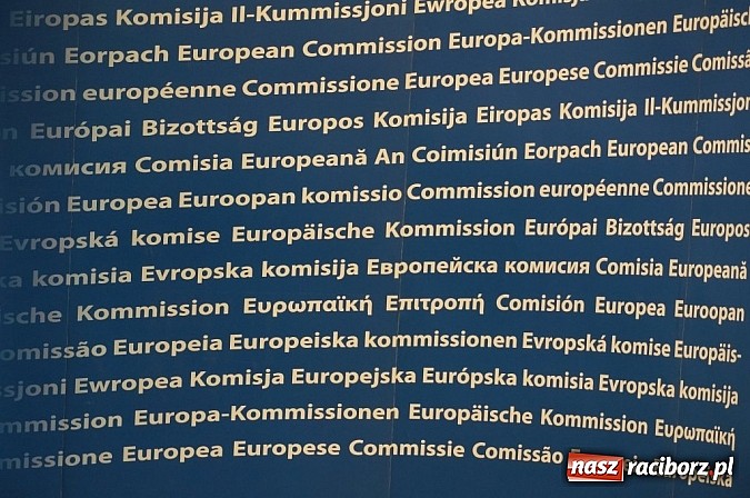 Zdjęcie w galerii na portalu naszraciborz.pl: Sukces raciborzan - wygrali konkurs Nakręć się na wybory wiadomości z regionu